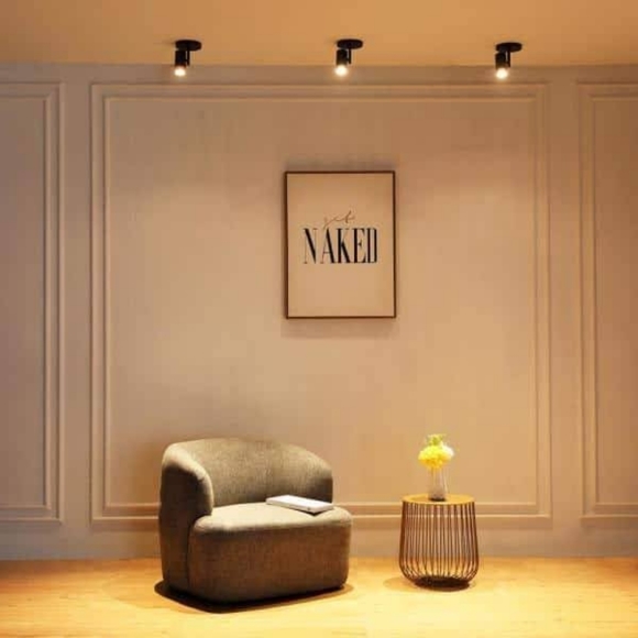 Spotlight NWOT - Picture 2 of 6